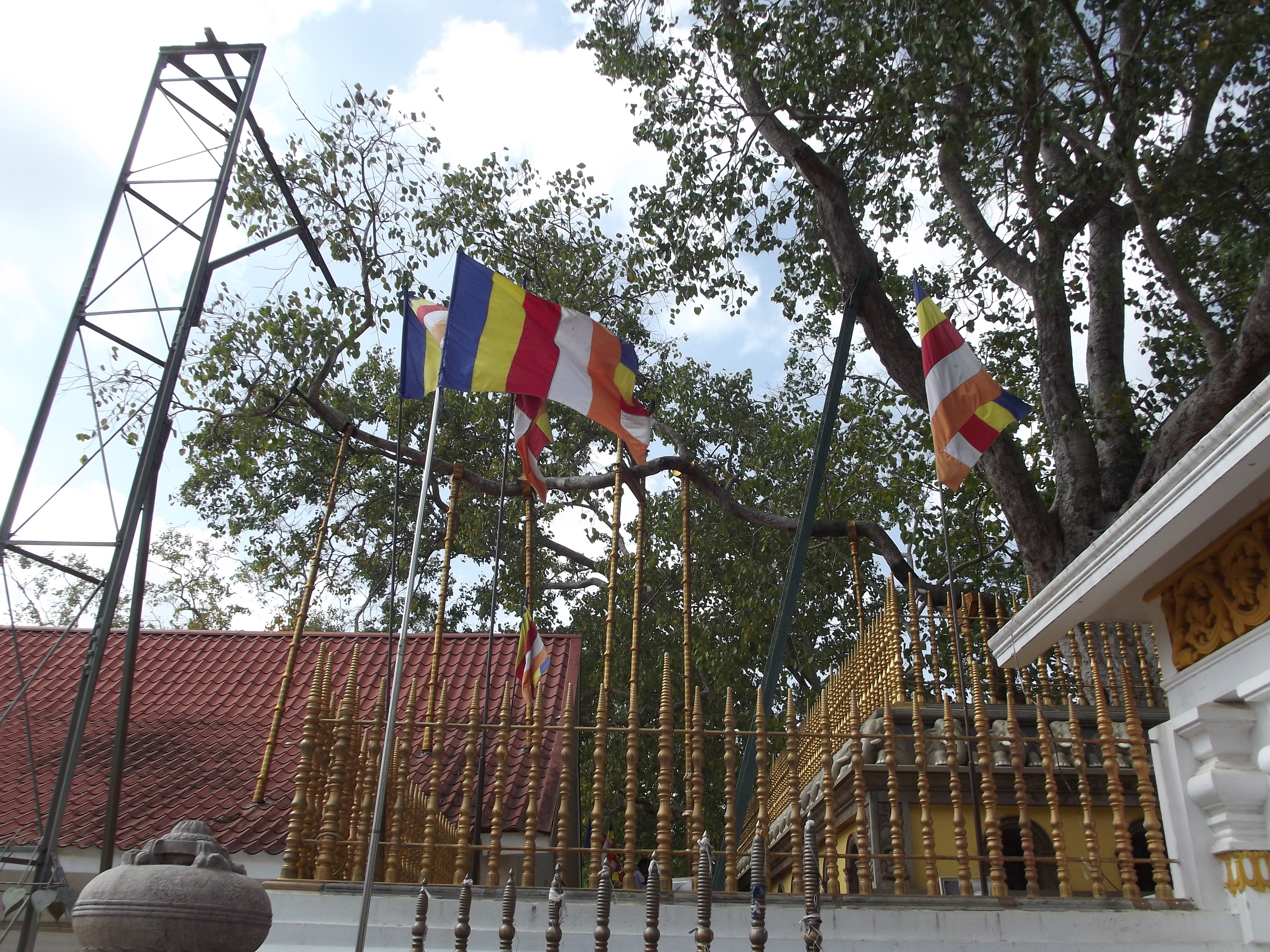 Anuradhapura - Sri Maha Bodhiya