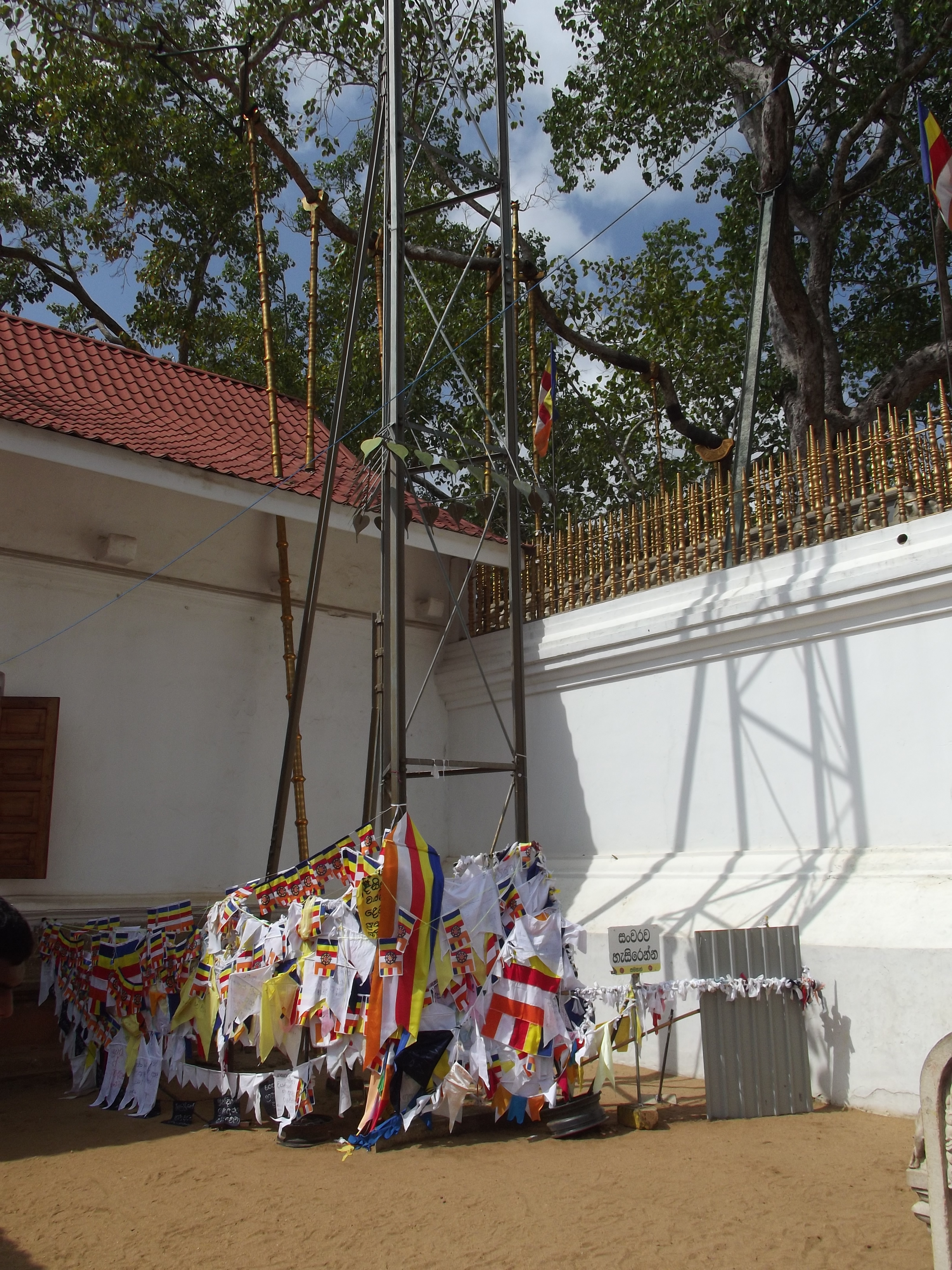 Anuradhapura - heiliger Ort