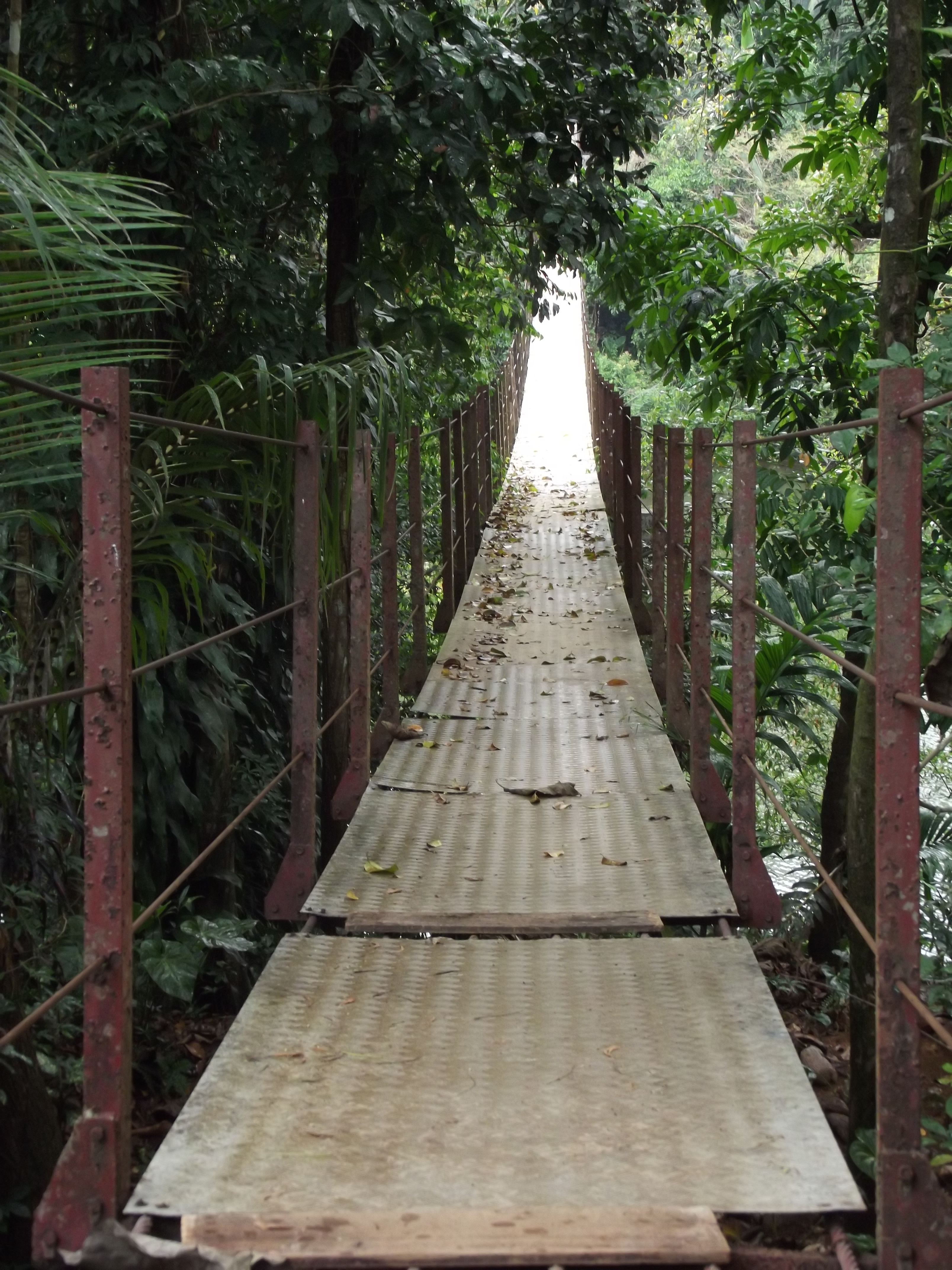 Kelani River - Brücke